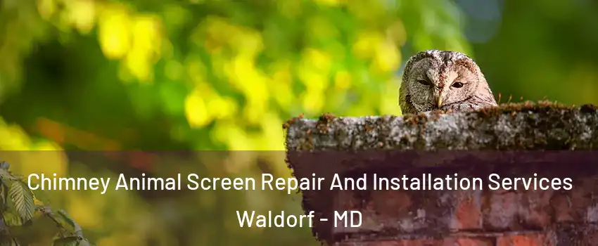  Chimney Animal Screen Repair And Installation Services Waldorf - MD