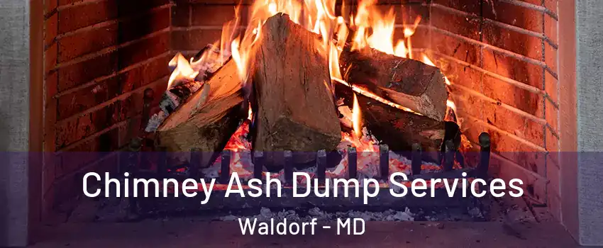  Chimney Ash Dump Services Waldorf - MD