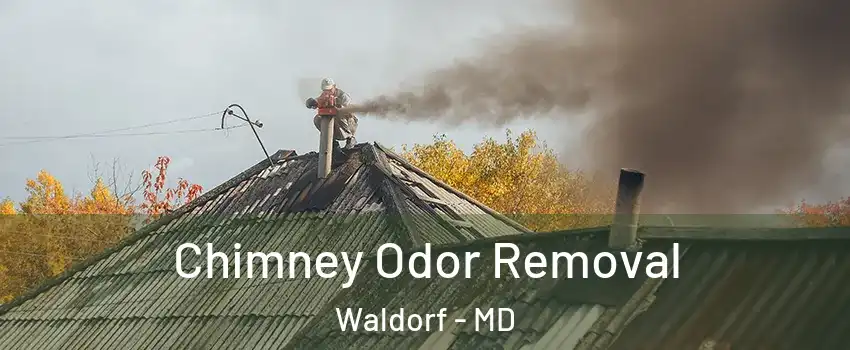  Chimney Odor Removal Waldorf - MD