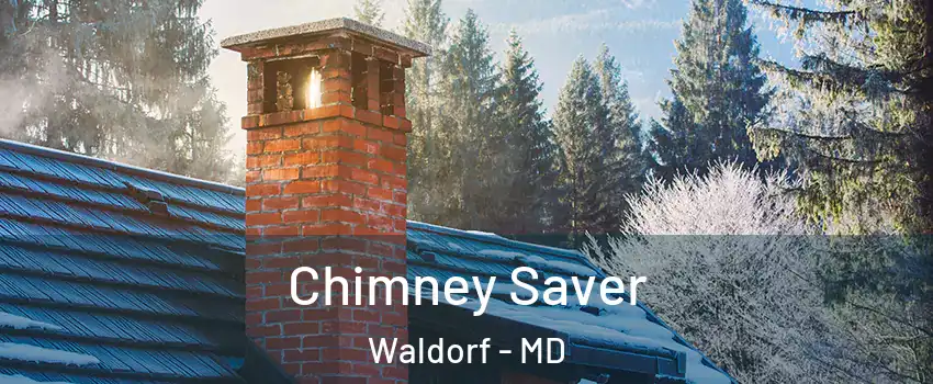  Chimney Saver Waldorf - MD