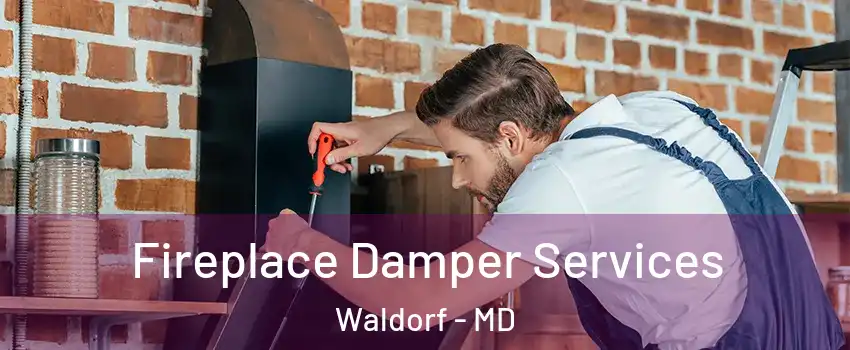  Fireplace Damper Services Waldorf - MD