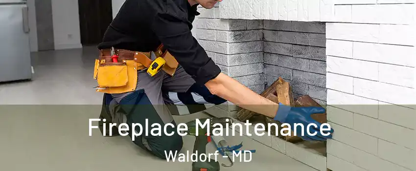  Fireplace Maintenance Waldorf - MD