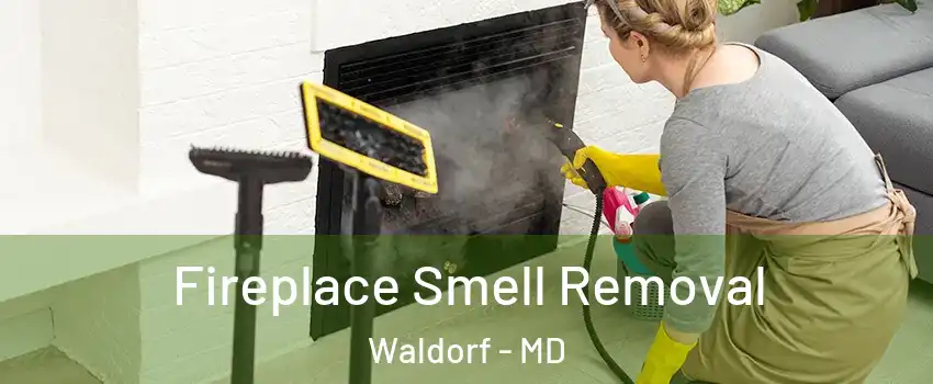  Fireplace Smell Removal Waldorf - MD