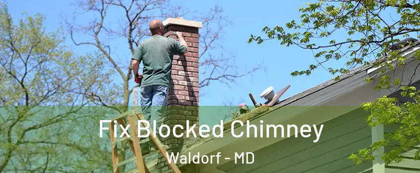  Fix Blocked Chimney Waldorf - MD
