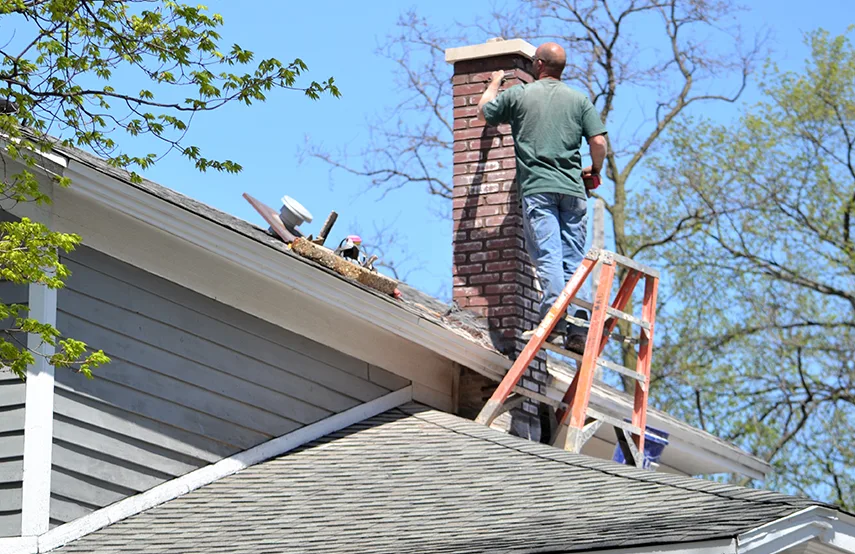 Chimney & Fireplace Inspections Services in Waldorf, MD