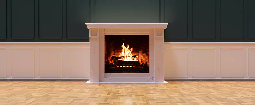 Napoleon Electric Fireplaces Inspection Service in Waldorf, Maryland