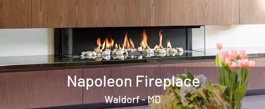  Napoleon Fireplace Waldorf - MD