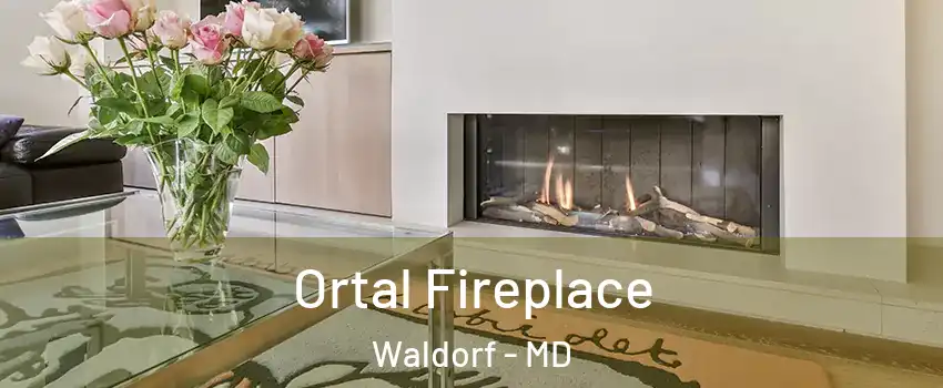  Ortal Fireplace Waldorf - MD